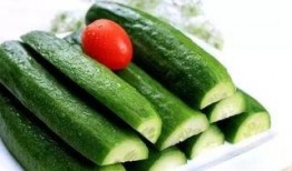 吃瓜群众买黄瓜视频大全,吃瓜群众热捧黄瓜视频大盘点