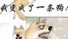 成为吃瓜群众小说,揭秘娱乐圈背后的真相与秘密