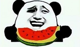 吃瓜群众打老板,揭秘老板的职场风云