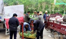 黄岭镇吃瓜群众事件真相,真相背后的社会现象