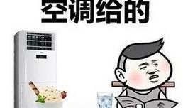 吃瓜群众几天没洗头了,揭秘真实生活状态