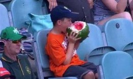 看电视的吃瓜群众叫什么,揭秘电视节目背后的故事