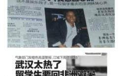 合格记者和吃瓜群众,揭秘媒体生态中的两极力量