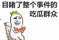 吃瓜群众天才律师,智慧与正义的化身