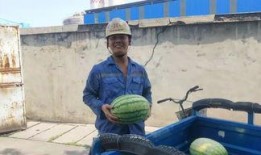 吃瓜群众快乐的一天,吃瓜群众的一天欢乐时光