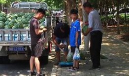 邳州邹庄吃瓜群众事件真相,真相背后的社会现象