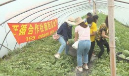 广西吃瓜的群众,品味生活，畅谈天下