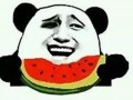 吃瓜群众来玩游戏,趣味游戏盛宴
