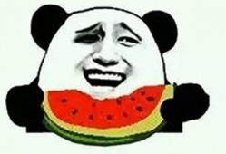 吃瓜群众来玩游戏,趣味游戏盛宴
