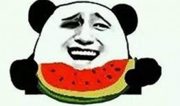 吃瓜群众来玩游戏,趣味游戏盛宴