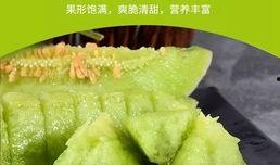 成为一名吃瓜群众,网络时代的围观者与传播者