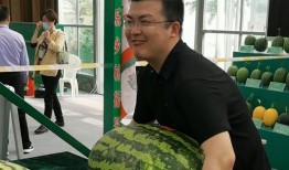 吃瓜群众摆台视频大全,一场视觉盛宴的狂欢