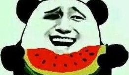 公园里的吃瓜群众,夏日炎炎，瓜香四溢