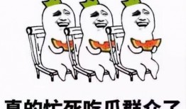 吃瓜群众包括什么人物,从普通百姓到网络红人的多元面孔