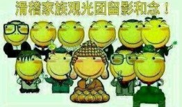 菊花茶吃瓜群众,吃瓜群众热议养生新风尚