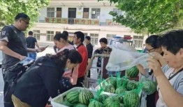 鹤鸣吃瓜群众,揭秘娱乐圈幕后风云