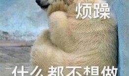 最怕的吃瓜群众图片大全,揭秘“最怕吃瓜群众”背后的社会现象