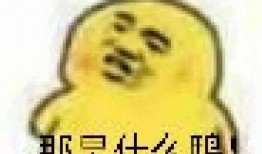 吃瓜群众 图片表情包,趣味横生的网络文化现象