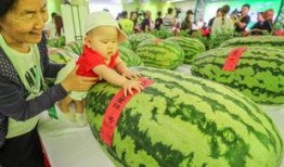 中国是世界第一吃瓜群众,中国，世界第一吃瓜群众