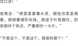 吃瓜群众的描写句子摘抄,吃瓜群众视角下的娱乐圈风云