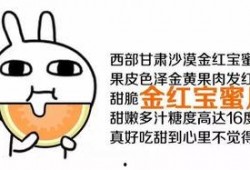 染稀只想当吃瓜群众,甘当吃瓜群众，静观娱乐圈风云变幻