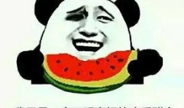 吃瓜群众类似的词语,揭秘“吃瓜群众”背后的网络文化现象