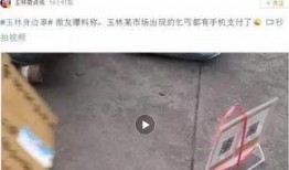 吃瓜群众流浪汉,吃瓜群众视角下的流浪汉生活