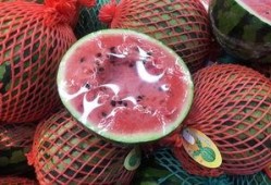 上海吃瓜群众故事,吃瓜群众的欢乐时光