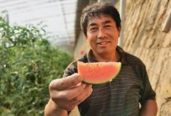 商河吃瓜群众事件,网络围观下的社会现象解析