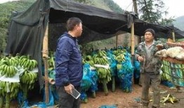 云南缅甸边境吃瓜群众外网,吃瓜群众视角下的跨境生活剪影