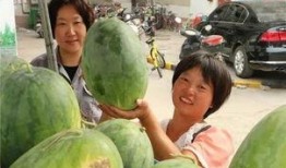 小区楼下吃瓜群众,邻里琐事引发全民围观