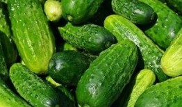 吃瓜群众买黄瓜视频大全,吃瓜群众热捧黄瓜视频大盘点