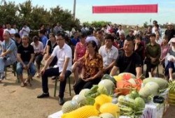 泗阳网红街吃瓜群众,吃瓜群众的热闹现场