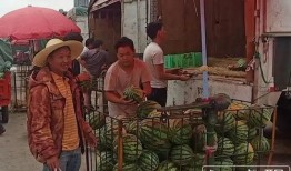 襄县吃瓜群众事件视频