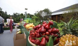 公园里的吃瓜群众,夏日炎炎，瓜香四溢