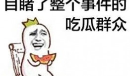 吃瓜群众免费素材视频,揭秘吃瓜群众免费素材视频背后的故事