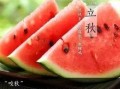 立秋吃瓜群众介绍,探寻民间传统美食文化