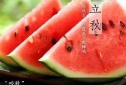 立秋吃瓜群众介绍,探寻民间传统美食文化
