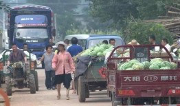 平城区吃瓜群众,吃瓜群众热议，街头巷尾的烟火气