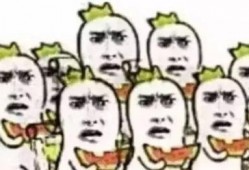 熊大熊二吃瓜群众