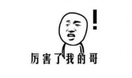 吃瓜群众打老板,揭秘老板的职场风云