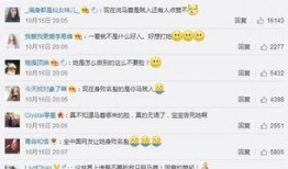 热心的朝阳群众吃瓜网址,吃瓜群众的热情追踪