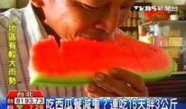 台湾人吃瓜群众是谁啊,他们是谁？为何备受关注？