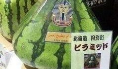 中国是世界第一吃瓜群众,中国，世界第一吃瓜群众