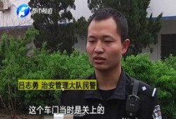 吃瓜群众偷钱被抓,揭秘偷窃背后的真相