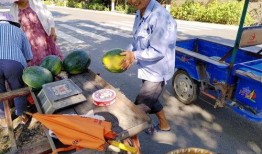 涪陵吃瓜群众事件最新消息,真相大白，网络热议背后的真相揭晓