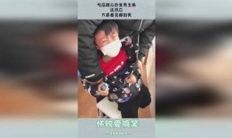 吃瓜群众变主角的狗,瓜田里的主角传奇