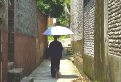 梨花巷吃瓜群众事件视频,一场网络围观下的社会现象解析