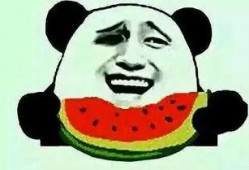 表白的吃瓜群众,揭秘表白背后的甜蜜与酸涩