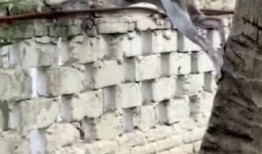 邻居吵架吃瓜群众,吃瓜群众热议不断